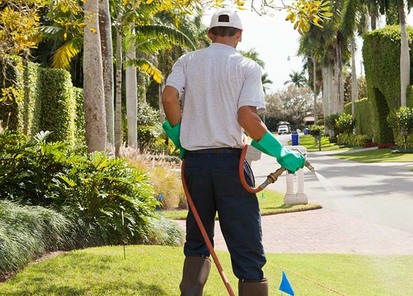 About Montezuma OH Pest Control